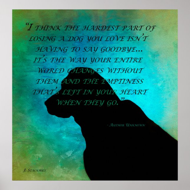 Póster Perdiendo un perro (Frente)