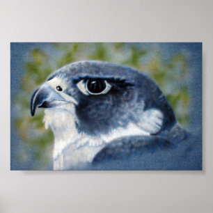 Póster Peregrine-aircepillo
