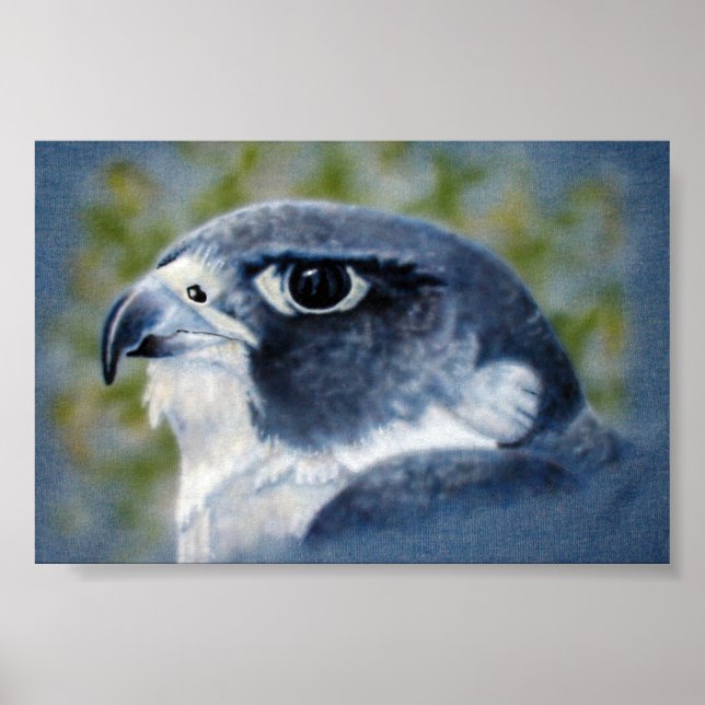 Póster Peregrine-aircepillo (Frente)