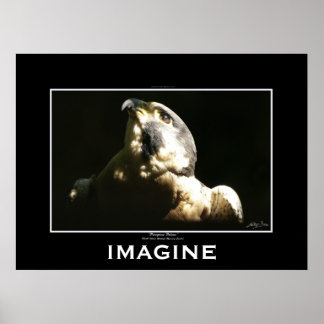 Póster PEREGRINE FALCON Imagine Poster motivacional