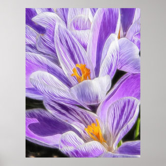 Póster Perenne Purple Striped Crocuses