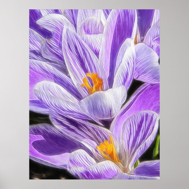 Póster Perenne Purple Striped Crocuses (Frente)