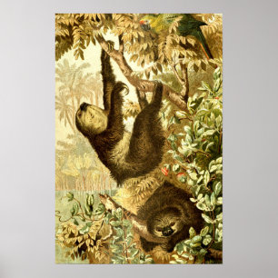 Póster Perezosos Vintage y Loro en Jungla