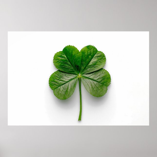 Póster Perfección de la Naturaleza: La simetría de una ho (Frente)