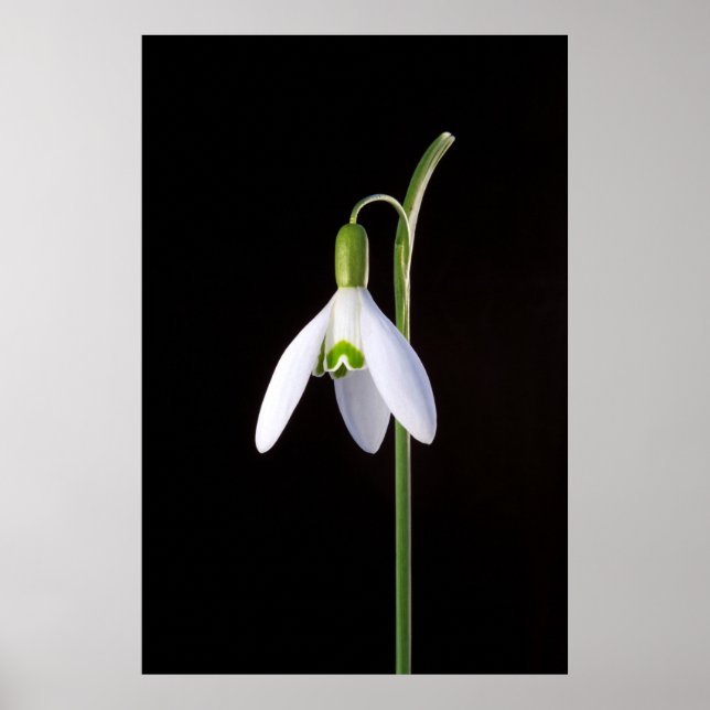 Póster Perfección individual (Frente)