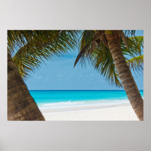 Póster Perfecta playa de paraíso tropical