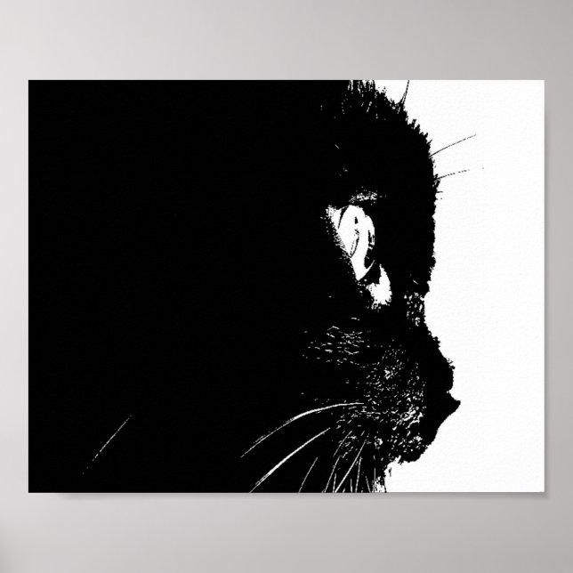 Póster Perfil de gato (Frente)