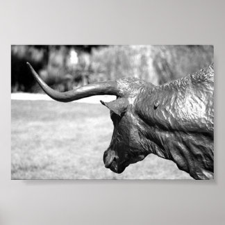 Póster Perfil de Longhorn
