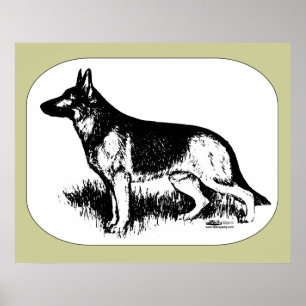 Póster Perfil de Shepherd