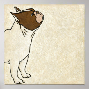 Póster Perfil del Bulldog francés mirando hacia arriba
