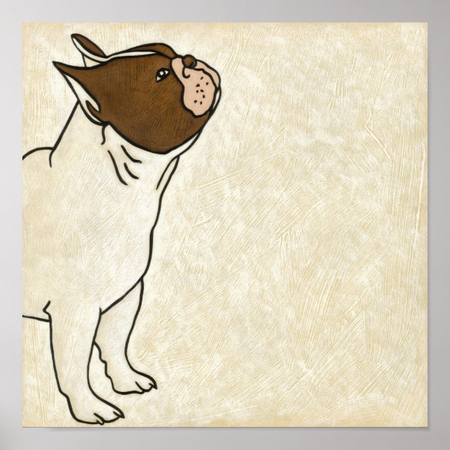 Póster Perfil del Bulldog francés mirando hacia arriba (Frente)