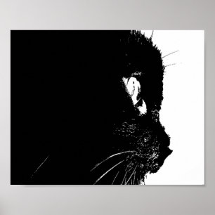 Póster Perfil del gato