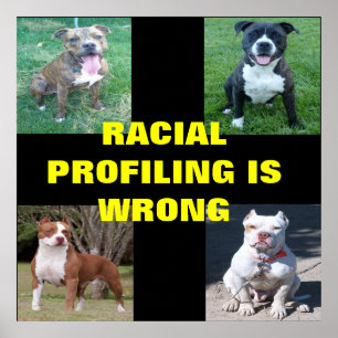 Póster Perfilado racial