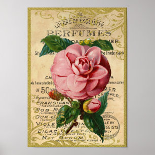 Póster Perfume antiguo de los rosas