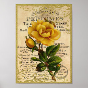 Póster Perfume antiguo de los rosas amarillos