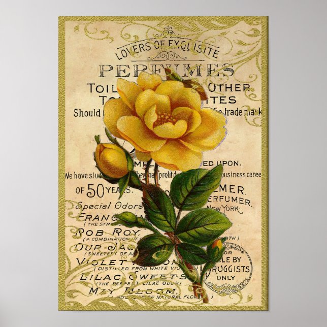 Póster Perfume de rosas amarillas antiguas (Frente)