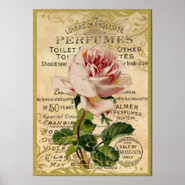 Póster Perfume de rosas rosadas antiguas