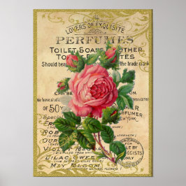 Póster Perfume de rosas rosadas antiguas