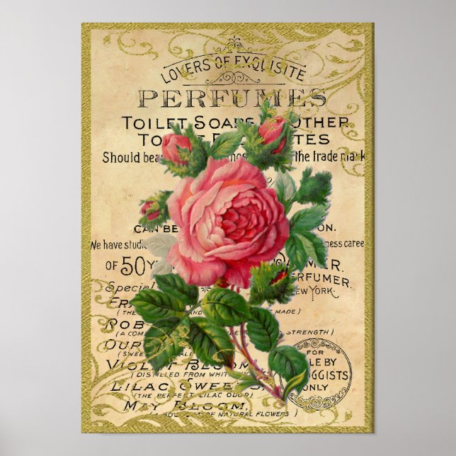 Póster Perfume de rosas rosadas antiguas (Frente)