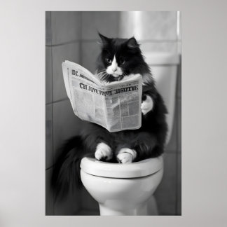 Póster Periódico divertido de gato, pared caprichosa del