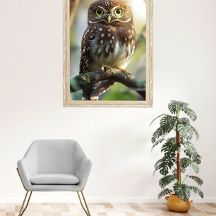 Póster Pernambuco pygmy-owl
