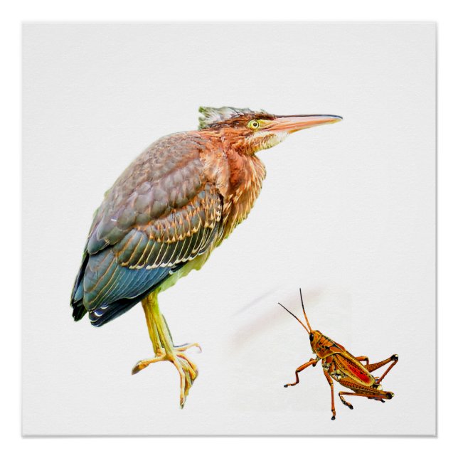 Póster Perón verde y Grasshopper (Anverso)