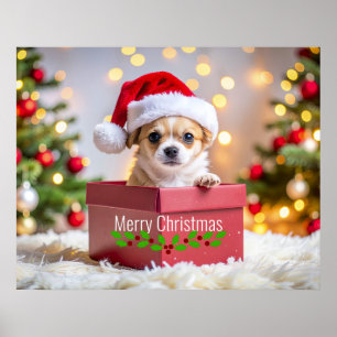 Póster Perrito Chihuahua cachorro de Navidad