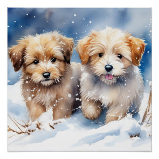 Póster Perrito de corte
