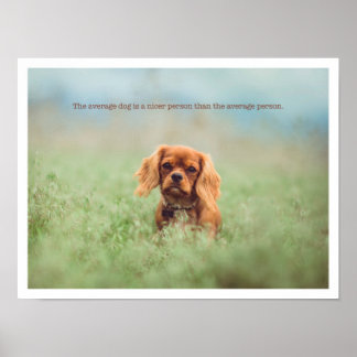 Póster Perrito de corte