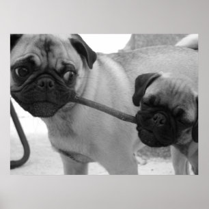 Póster Perrito del barro amasado que juega esfuerzo
