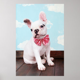 Póster Perrito del bulldog francés con el arco rosado