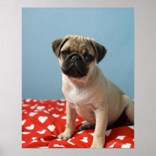Póster Perrito del corazón del barro amasado