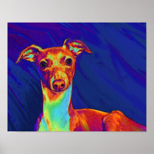 Póster perrito del galgo italiano
