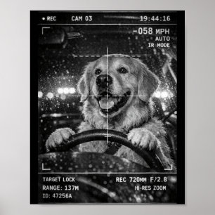 Póster Perrito golden retriever lindo conduciendo un coch