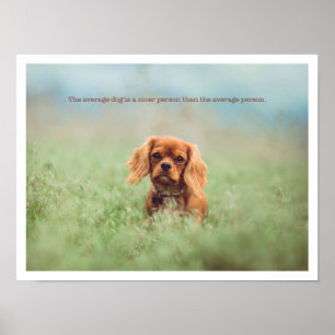 Póster Perrito lindo