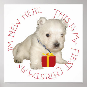 Póster Perrito Westie Primera Navidad