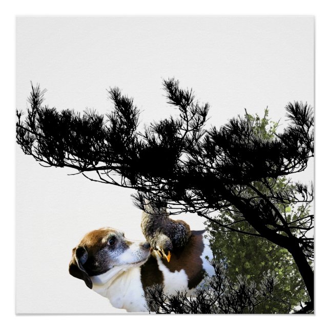 Póster perro (Anverso)