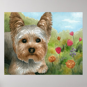 Póster Perro 117 Yorkshire