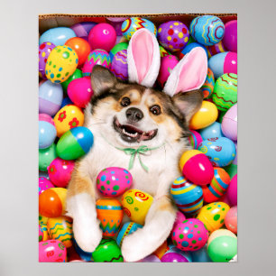 Póster Perro acostado sobre huevos de Pascua