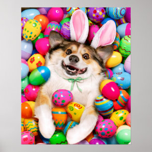 Póster Perro acostado sobre huevos de Pascua