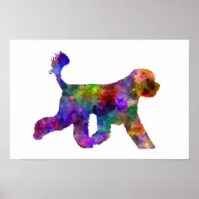 Póster Perro acuático portugués (Frente)