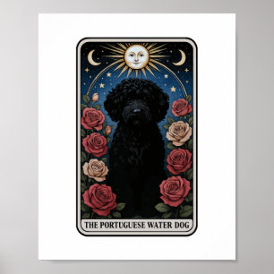Póster Perro acuático portugués