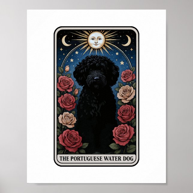 Póster Perro acuático portugués (Frente)