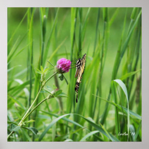 Póster Perro adecuado