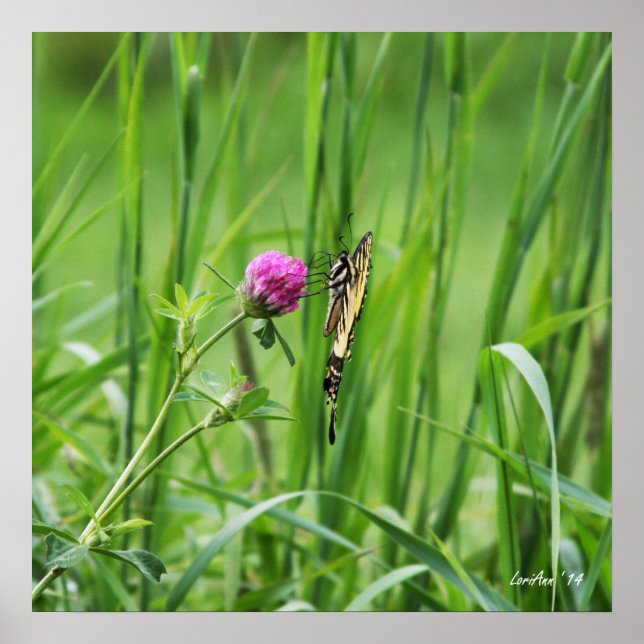 Póster Perro adecuado (Frente)
