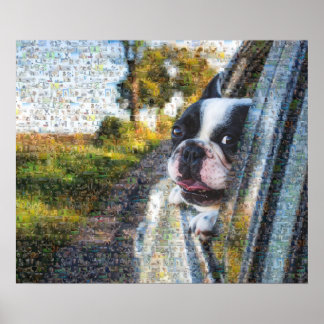 Póster Perro adorable colgando del mosaico de la ventana