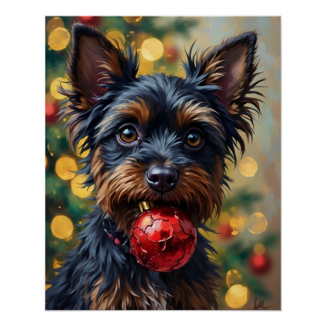 Póster Perro Affenpinscher con adorno de Navidad (Anverso)