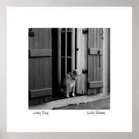 Perro afortunado por Linda Becker PhotoArt