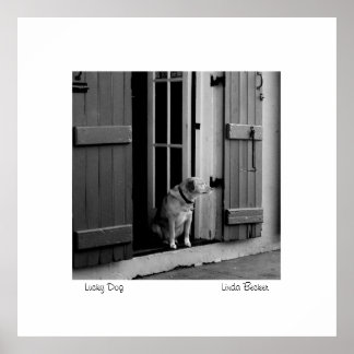 Póster Perro afortunado por Linda Becker PhotoArt