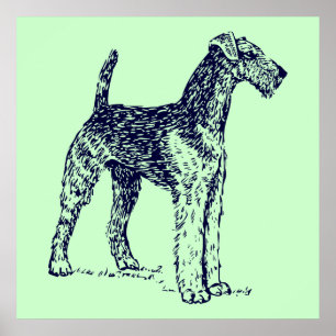 Póster Perro Airedale